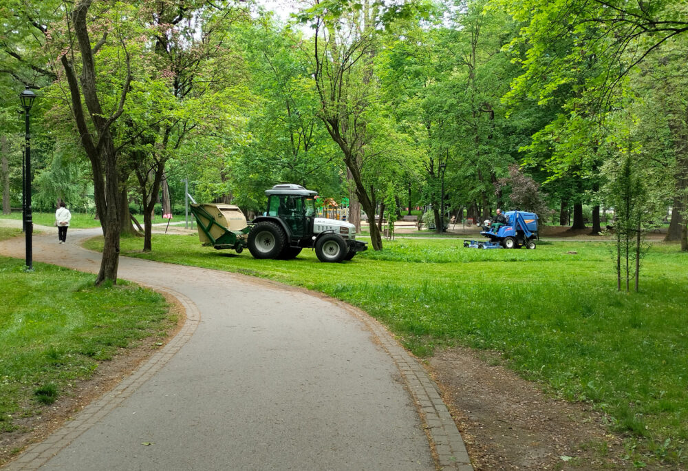 1. kompleksowe usługi pilęgnacji zieleni